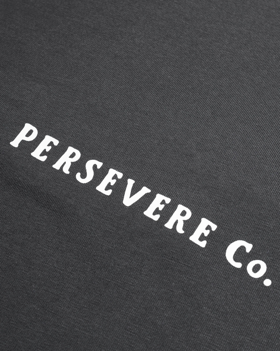 CHAIN-STITCHED GRAPHIC T-SHIRT